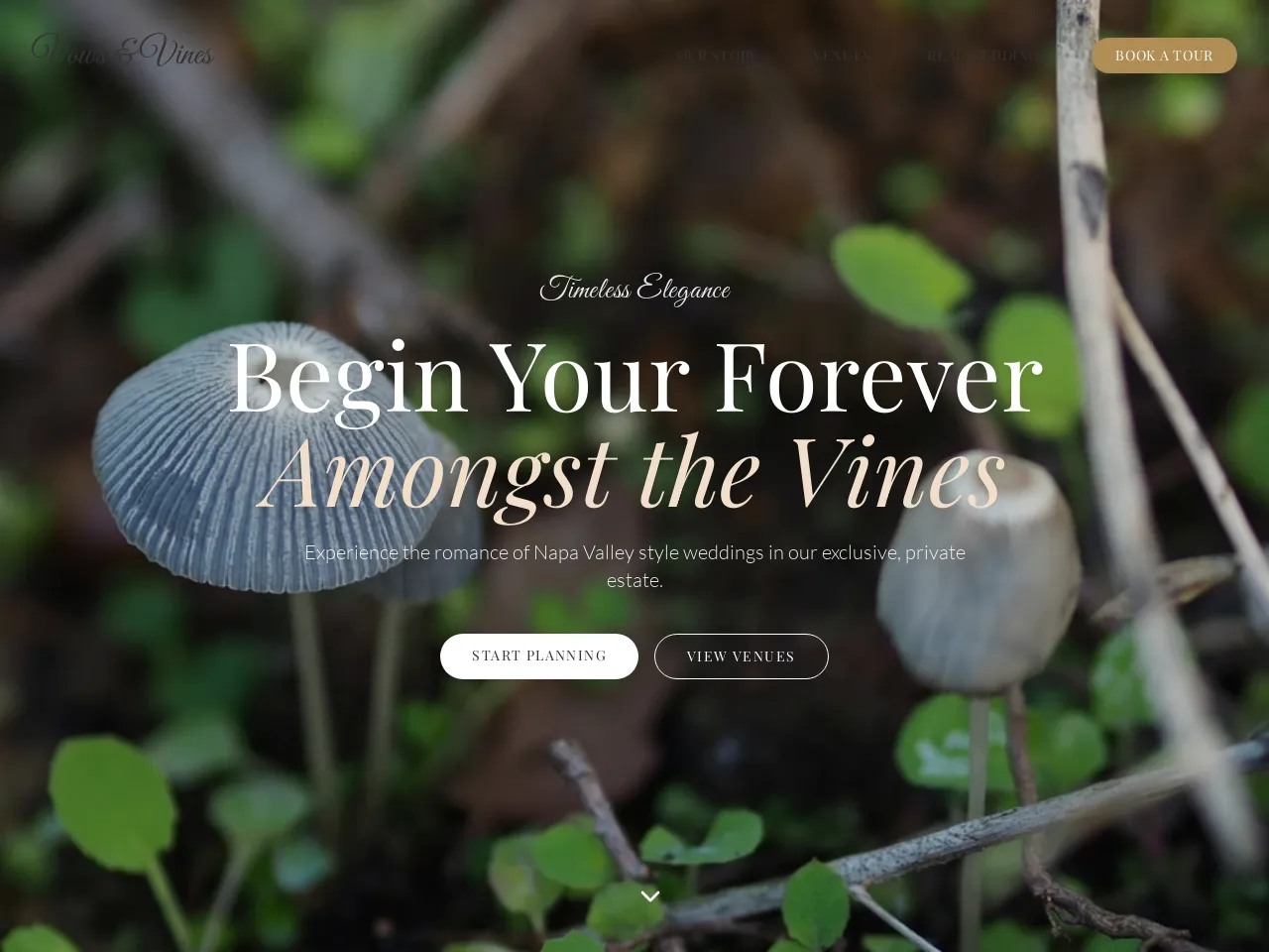 Vineyards Forever